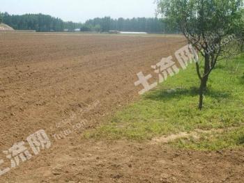 盘锦盘山县 30亩 水田 经营权转包