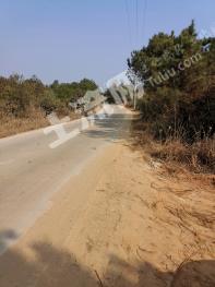 上饶余干县 85亩 荒山 使用权出租