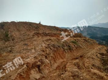 九江武宁县 1000亩 有林地 经营权转让