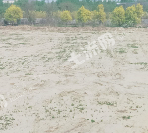 邯郸永年区 30亩 工业用地 使用权转让