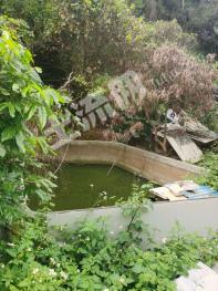 深圳龙岗区 20亩 农场 使用权转让