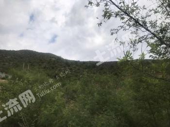 赤峰喀喇沁旗 300亩 荒山 使用权出租