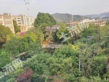 昆明富民县城中心 5.5亩大花园别墅、酒店、商铺、农家乐为一体的休闲山庄流转