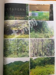 遵义习水县 8000亩 有林地 经营权入股