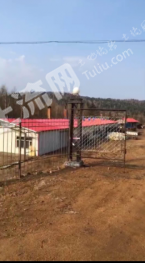 伊春汤旺河区 75亩 水浇地 经营权转让