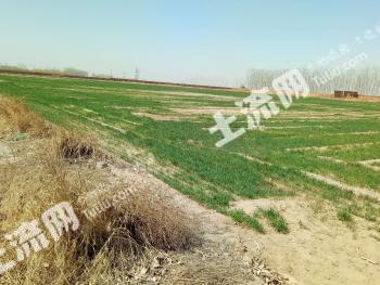 唐山滦南县 82亩 工业用地 使用权出租