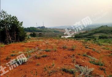 衡阳 衡阳县 68亩 山地 经营权出租