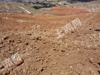 丽江永胜县16亩旱地经营权转让