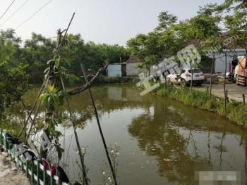 鄂州华容区 19980平米 度假山庄（耕地鱼塘 ） 经营权转让