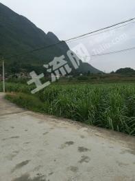 安顺镇宁布依族苗族自治县520平米宅基地使用权出租