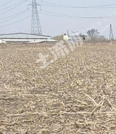 辽宁抚顺 4.8亩 水浇地 经营权转让