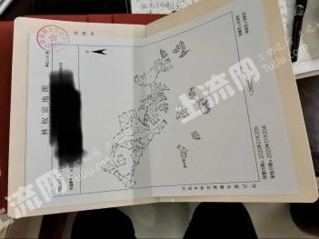 邯郸涉县 3700亩 其它林地 经营权转让