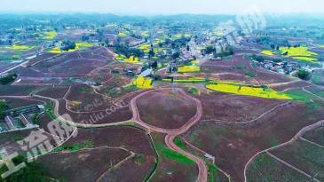 内江资中县 2000亩 水浇地 经营权出租