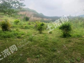 肇庆鼎湖区97.26亩 空闲用地 合作