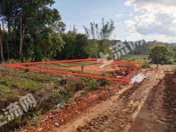 德宏隴川縣1000平米宅基地使用權(quán)出租