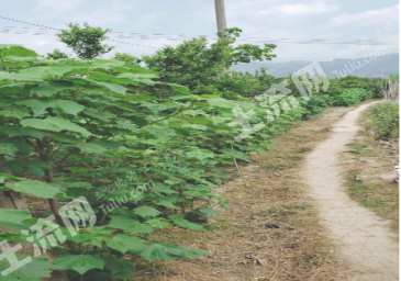 遵义余庆县 2亩 空闲用地 出租