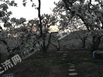 鞍山千山区 30亩 农场 经营权转让