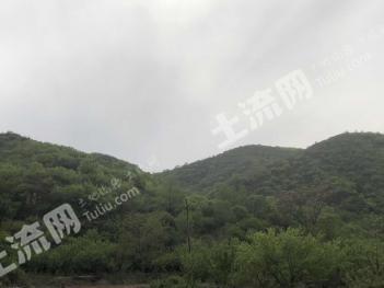 张家口怀来县 3000亩 荒山 使用权出租