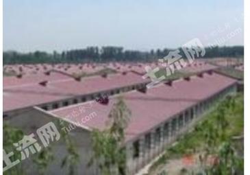 济宁兖州区 25亩 畜牧养殖用地 经营权出租