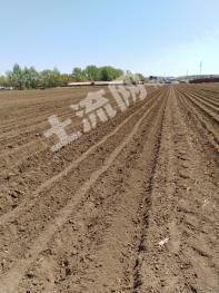 抚顺望花区 3.2亩 水浇地 经营权出租