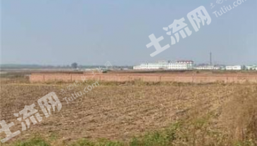 菏泽成武县 100亩 城镇住宅 使用权出让