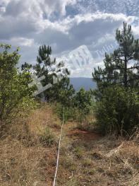 昆明富民县县城边2亩休闲养老地块使用权流转