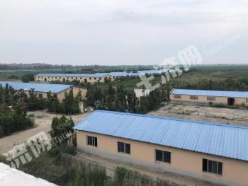 鹤壁浚县 200亩 农场 使用权出租