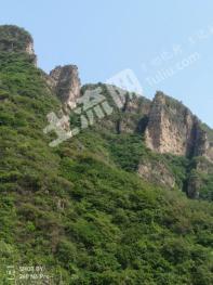 保定满城区 450亩 有林地 经营权转让