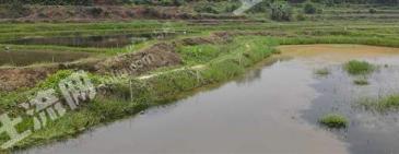 银川金凤区 35亩 农场 使用权出租