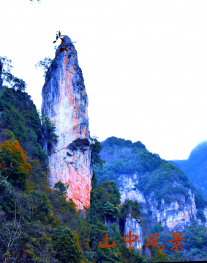 雅安汉源县 1500亩 灌木林地 经营权转让