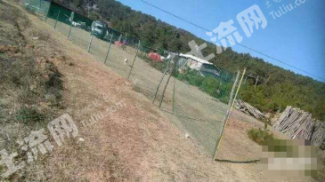 楚雄禄丰县 30亩 水浇地 经营权出租