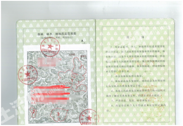 肇庆怀集县 1374亩 乔木林地 经营权转让