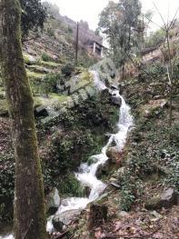 黄山歙县 200平米 农家庭院 出租