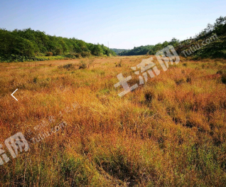 上饶横峰县 9亩 畜牧养殖用地 经营权出租