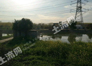 淮南大通区 100亩 农场 经营权出租