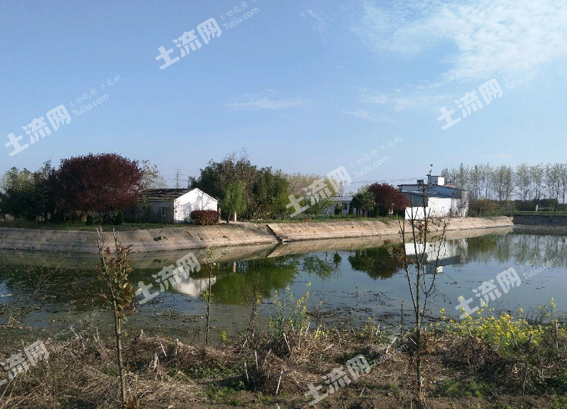 安徽丹阳湖农场图片