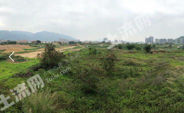 肇庆端州区 30亩 空闲用地 出租