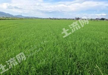 铁岭开原市 18亩 水田 经营权转让