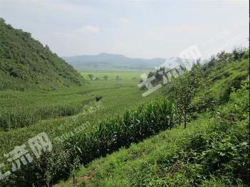 铁岭开原市 30亩 其它农用地 经营权出租