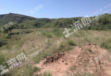 葫芦岛南票区 370亩 荒山 出租