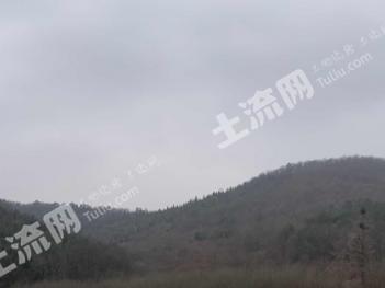 荆门京山市 172亩 有林地 经营权转让