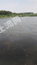马鞍山含山县 230亩 坑塘水面 经营权转让