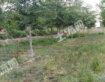 乌鲁木齐米东区 50000平米 度假山庄 使用权出租