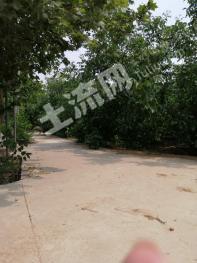 石家庄正定县 40亩 工业用地 使用权转让