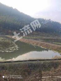 三明沙县60亩水产养殖用地经营权转让