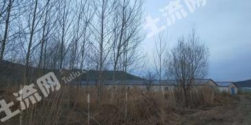 黑龙江牡丹江穆棱市 60亩 畜牧养殖用地 经营权出租