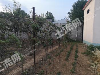 河南平顶山 10亩 农场 经营权出租