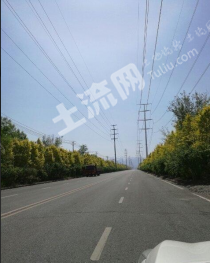 乌鲁木齐米东区 25亩闲用地 经营权出租