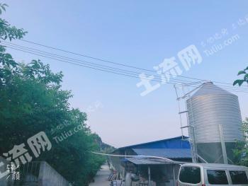 泸州泸县 5亩 农场 使用权转让