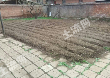 吉林延边400平米农家庭院出租